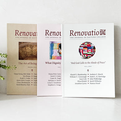 Build Your Own Renovatio Set (3 issues)